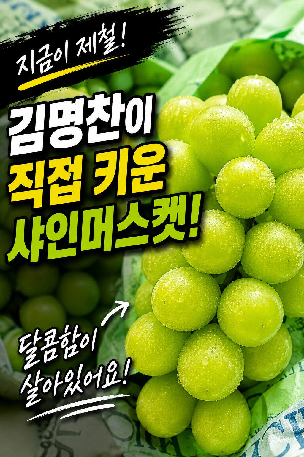 김명찬 샤인머스캣
